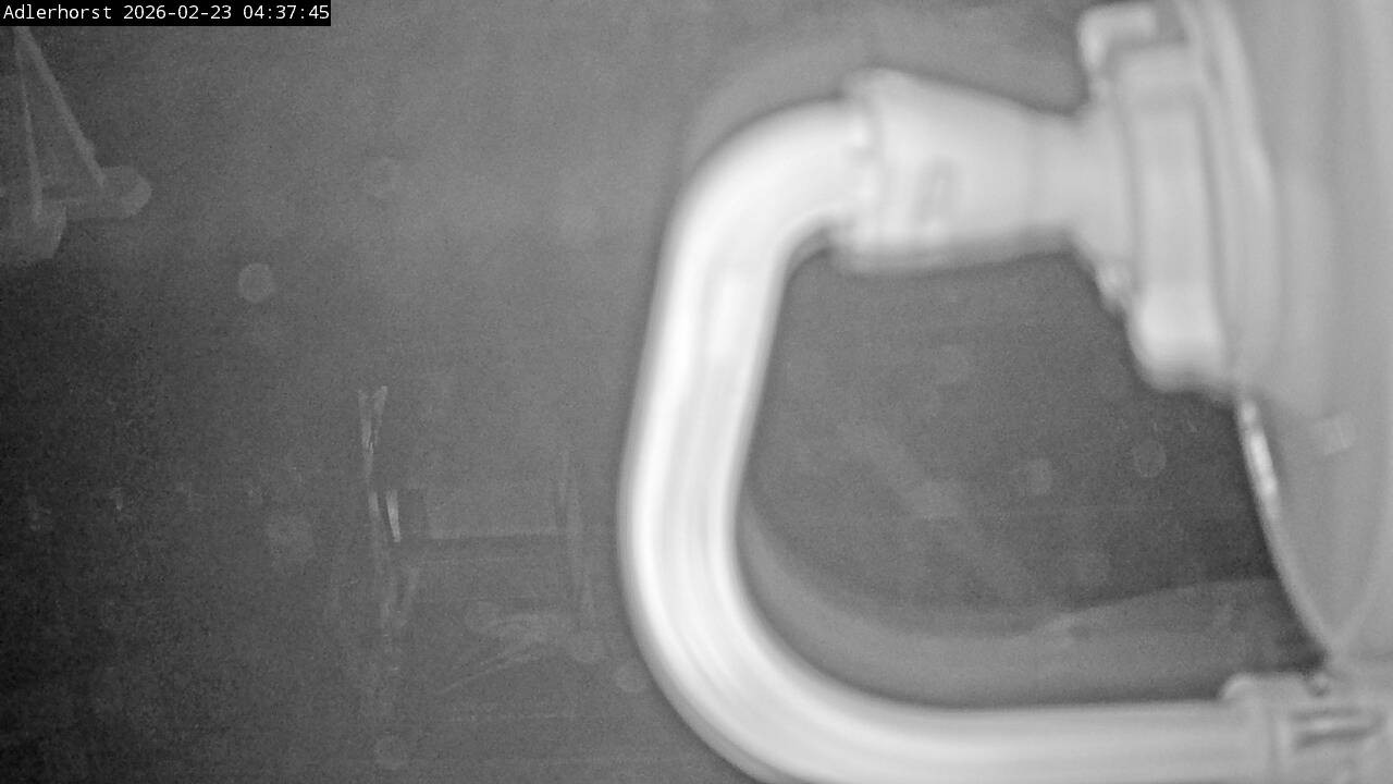 Archiv Foto Webcam Willingen: Skisprungschanze Adlerhorst