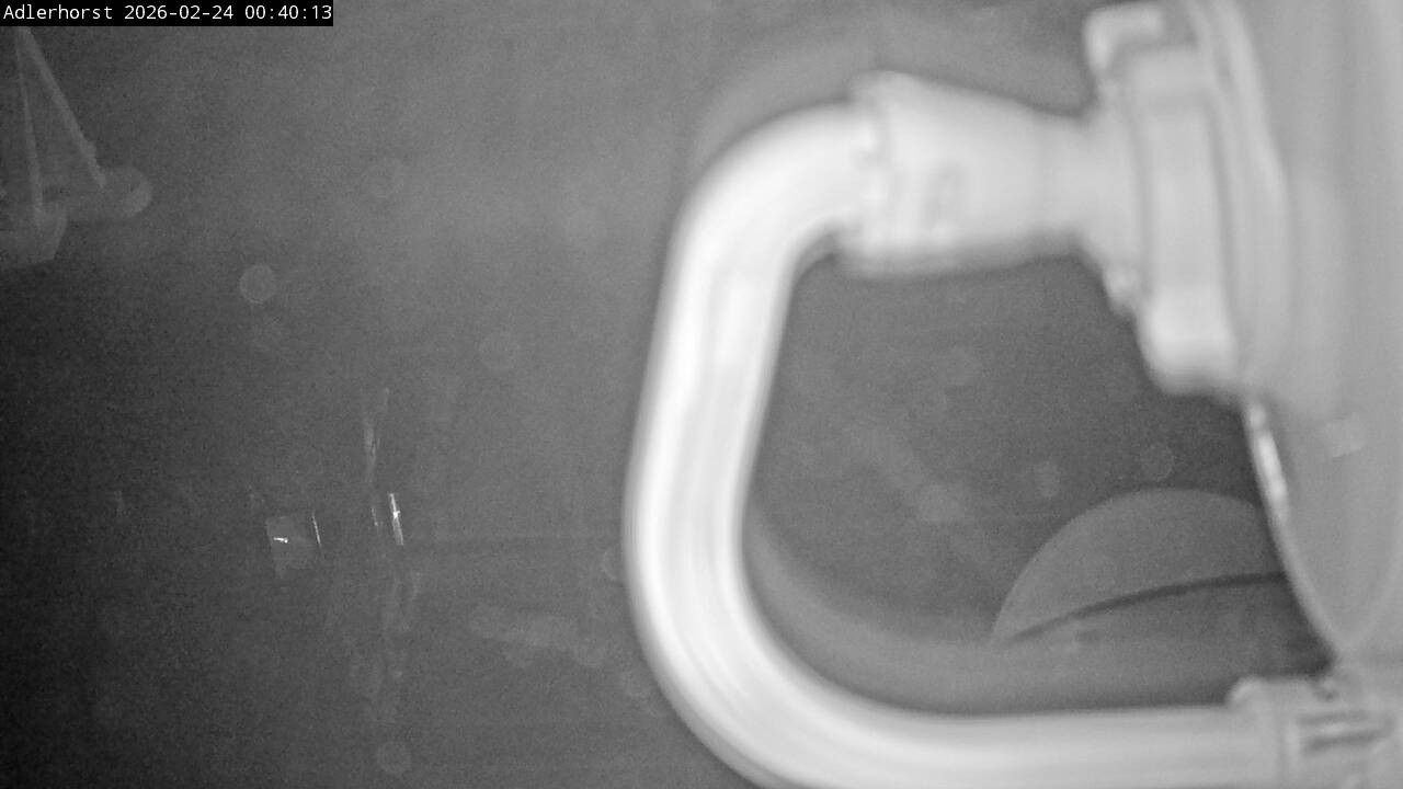 Archiv Foto Webcam Willingen: Skisprungschanze Adlerhorst