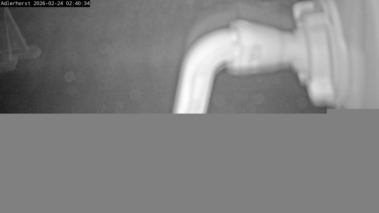 Archiv Foto Webcam Willingen: Skisprungschanze Adlerhorst