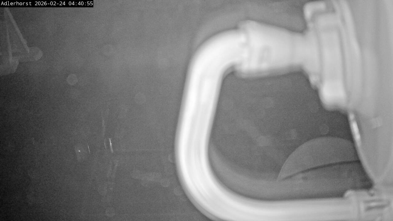 Archiv Foto Webcam Willingen: Skisprungschanze Adlerhorst