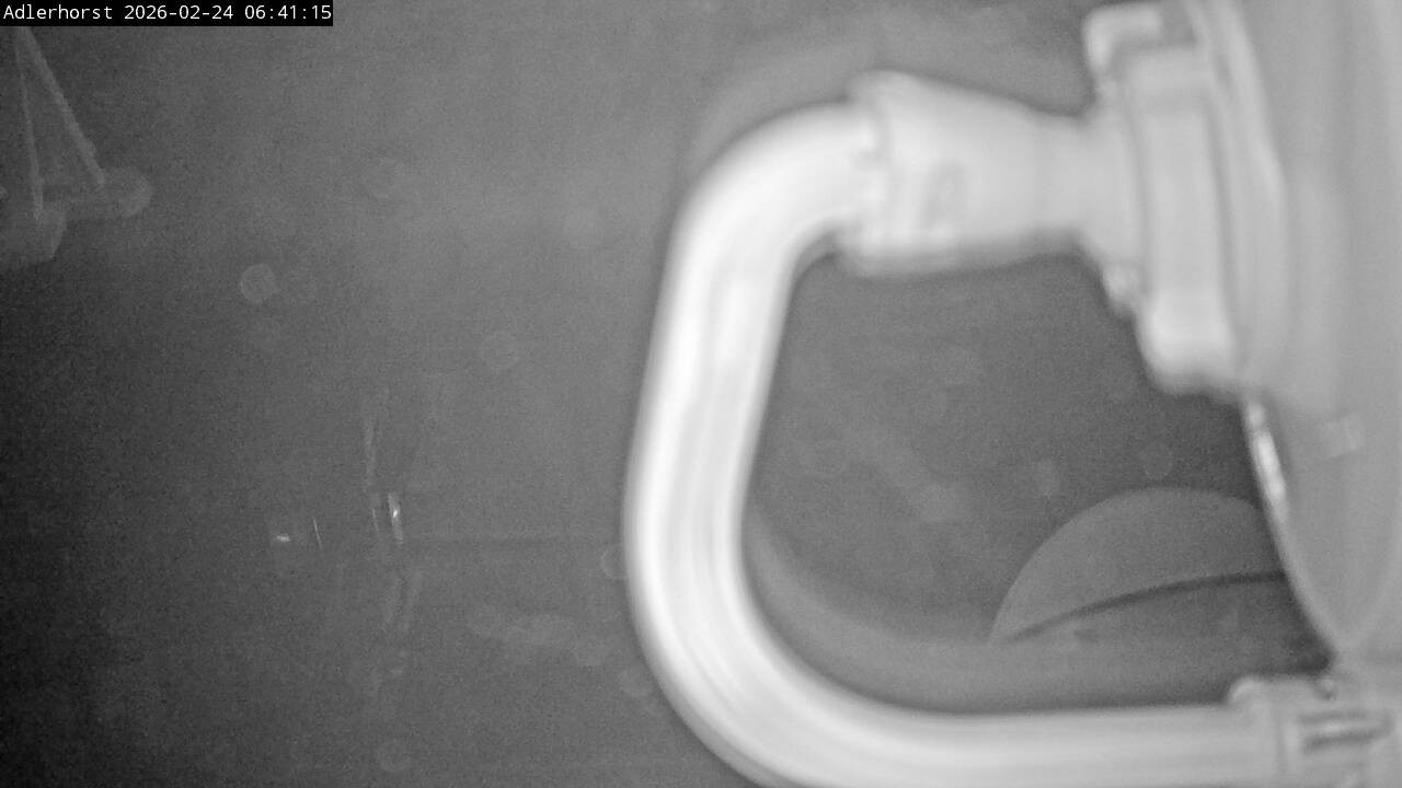 Archiv Foto Webcam Willingen: Skisprungschanze Adlerhorst