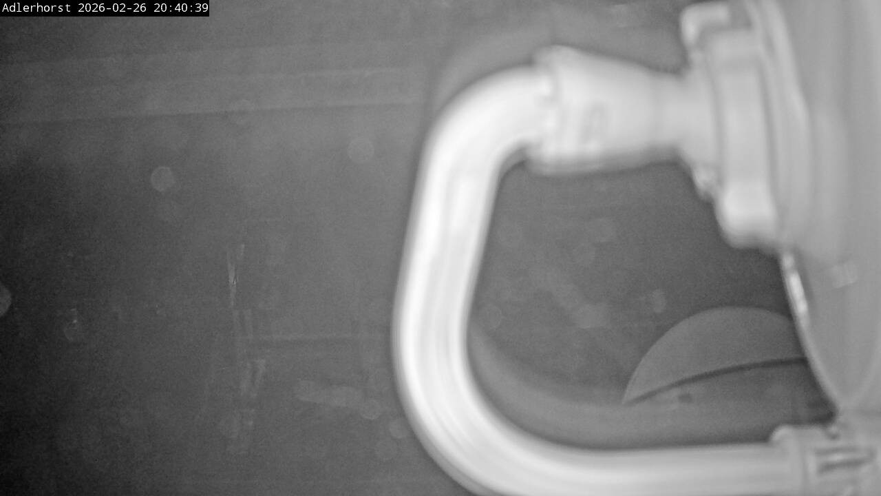 Archived image Webcam Willingen: View Ski Jumping Area