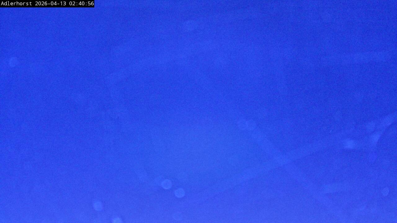 Archived image Webcam Willingen: View Ski Jumping Area