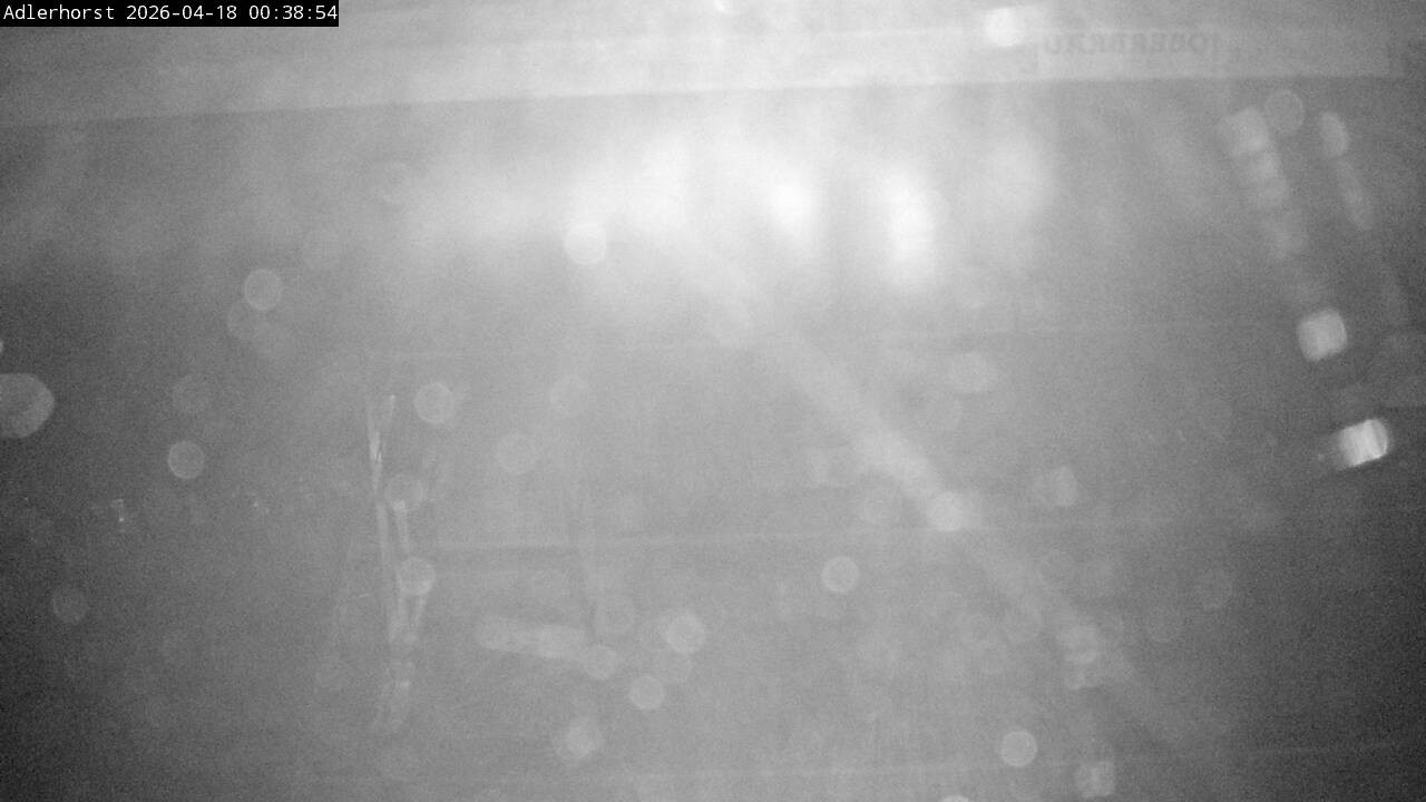 Archived image Webcam Willingen: View Ski Jumping Area