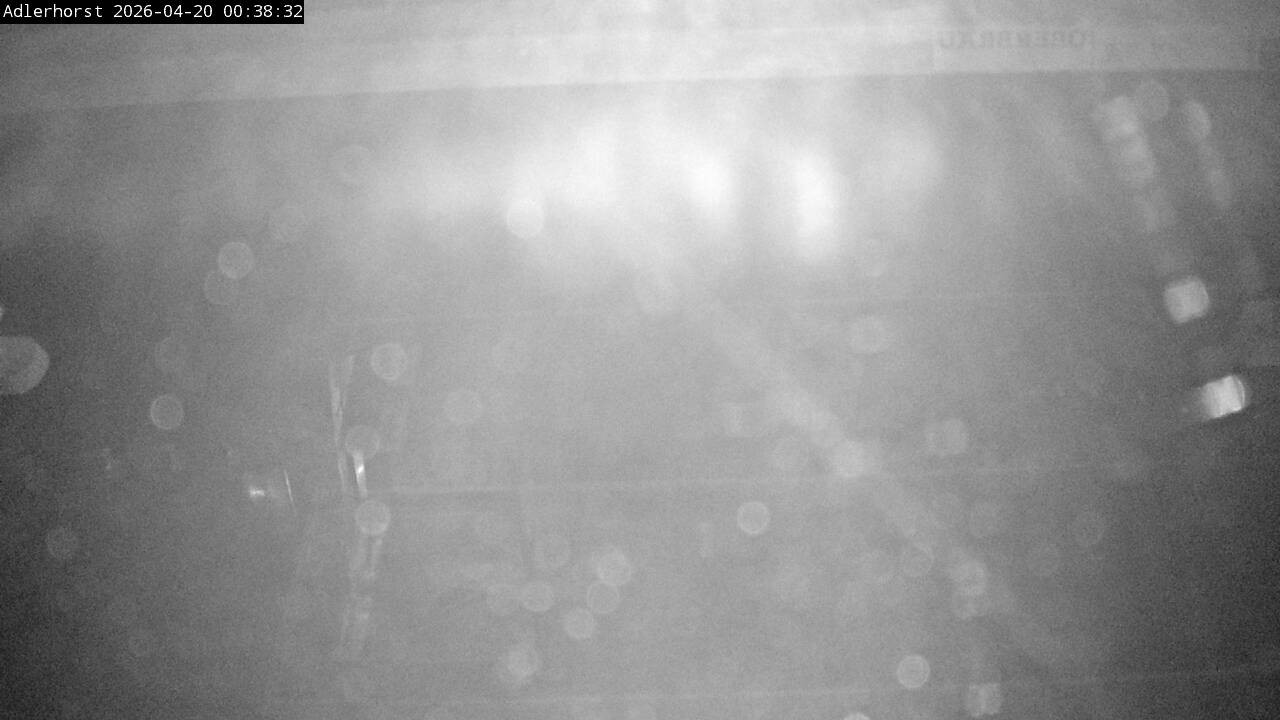 Archiv Foto Webcam Willingen: Skisprungschanze Adlerhorst