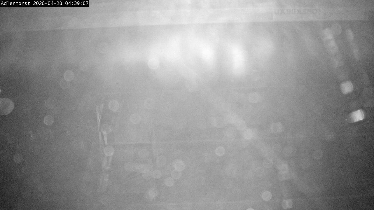 Archiv Foto Webcam Willingen: Skisprungschanze Adlerhorst