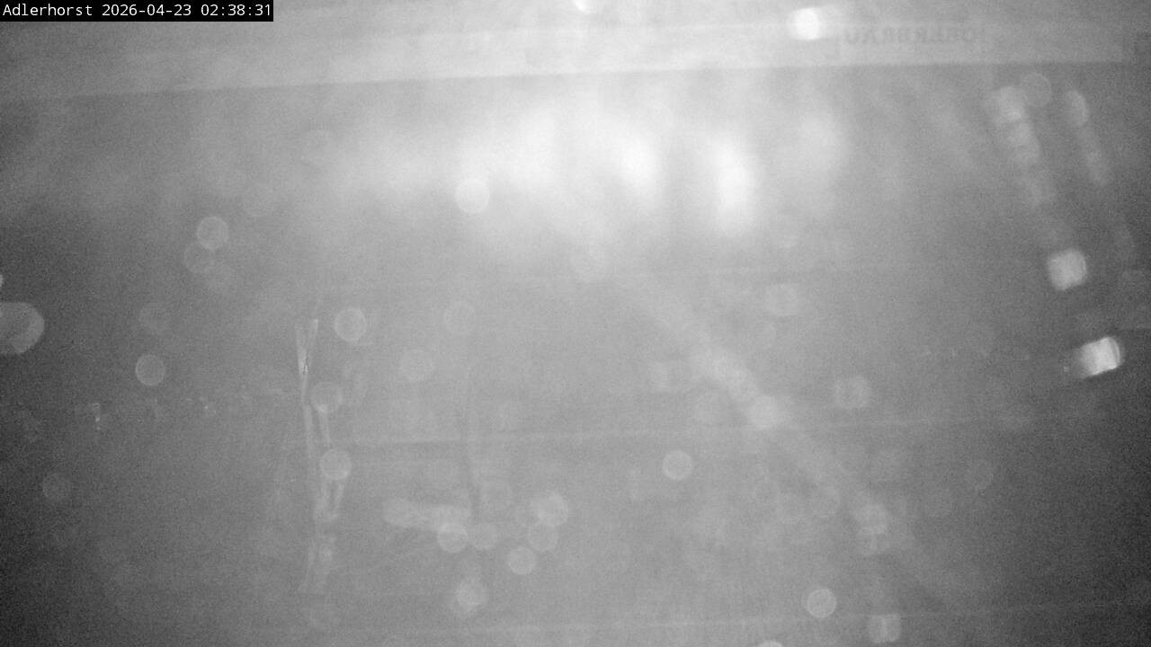 Archiv Foto Webcam Willingen: Skisprungschanze Adlerhorst