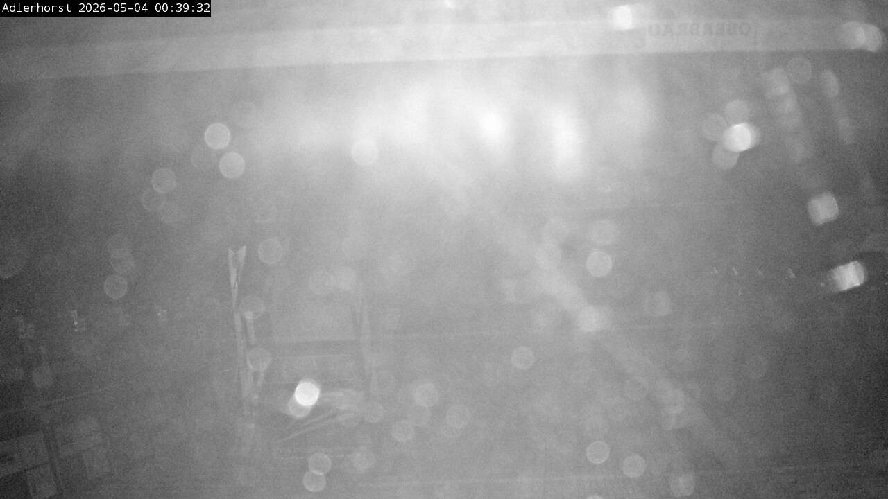 Archiv Foto Webcam Willingen: Skisprungschanze Adlerhorst