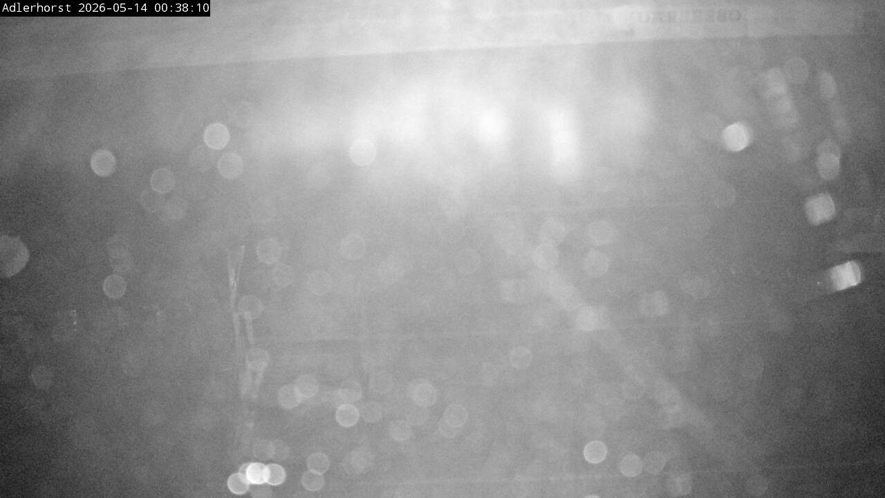 Archiv Foto Webcam Willingen: Skisprungschanze Adlerhorst