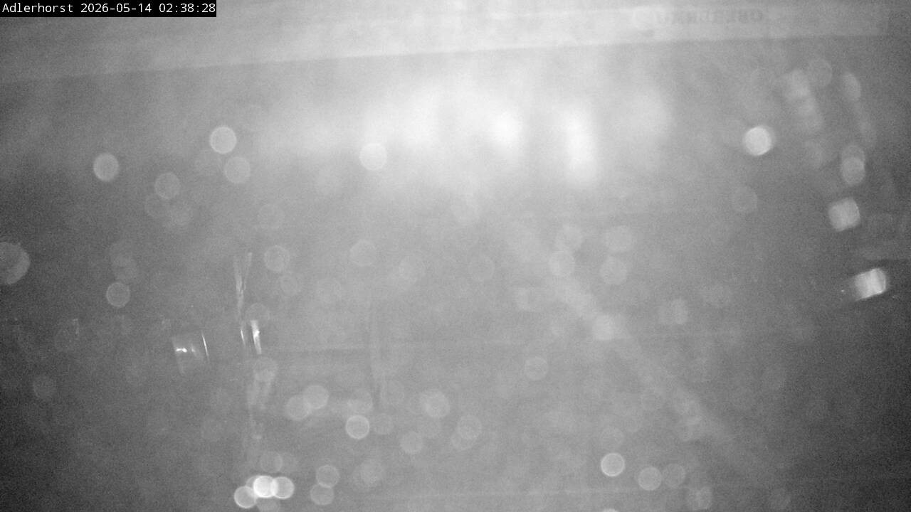 Archiv Foto Webcam Willingen: Skisprungschanze Adlerhorst