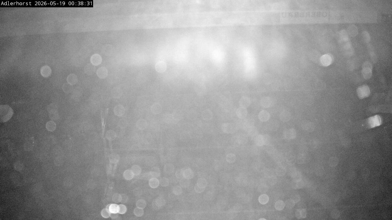 Archiv Foto Webcam Willingen: Skisprungschanze Adlerhorst