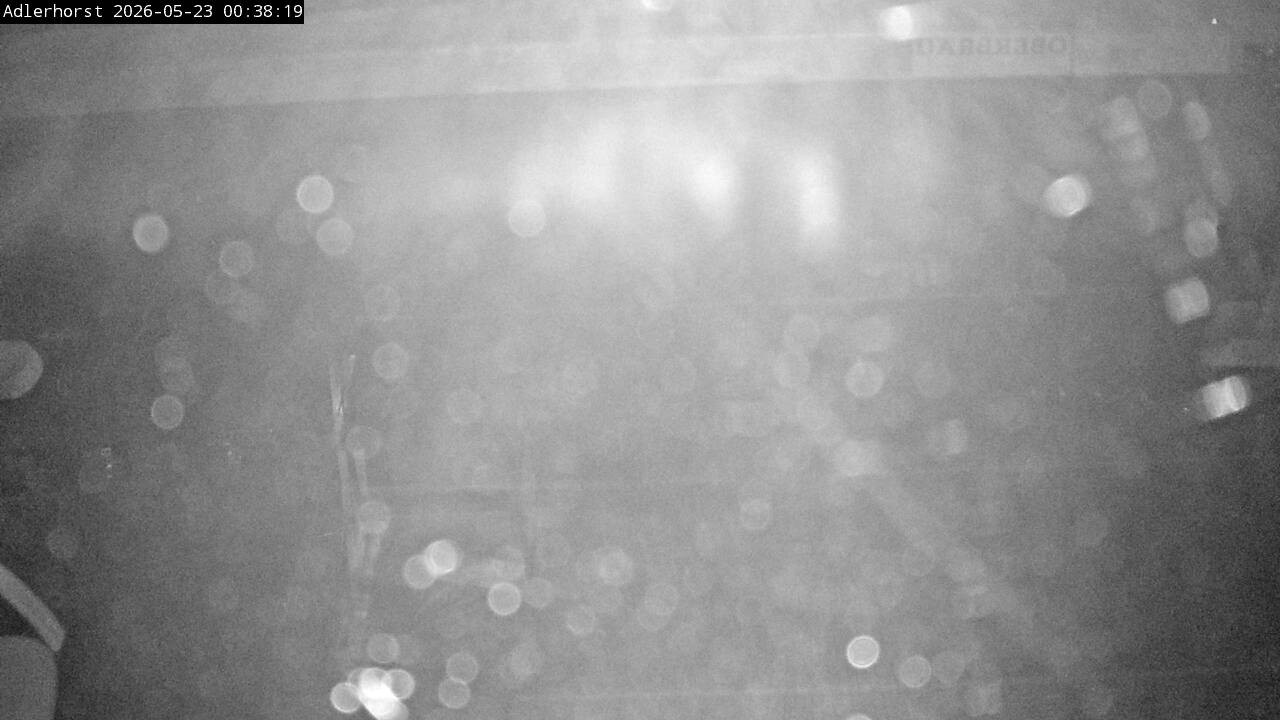 Archiv Foto Webcam Willingen: Skisprungschanze Adlerhorst