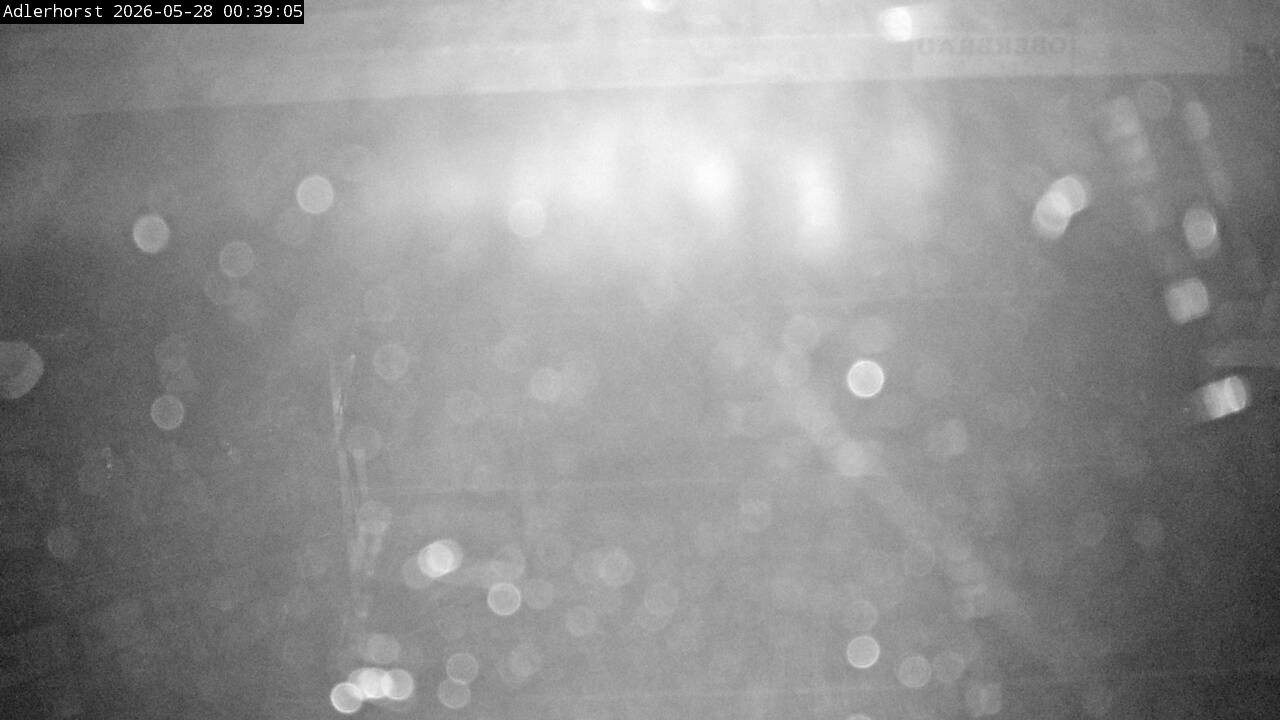 Archived image Webcam Willingen: View Ski Jumping Area