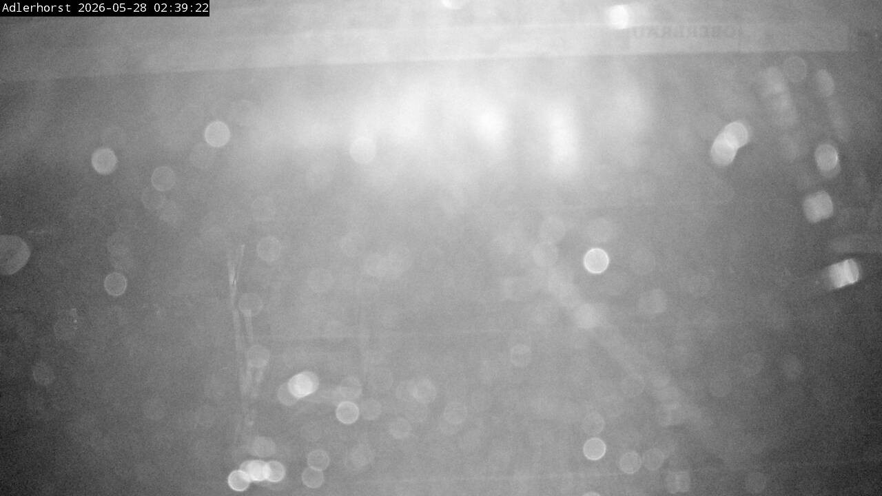 Archiv Foto Webcam Willingen: Skisprungschanze Adlerhorst