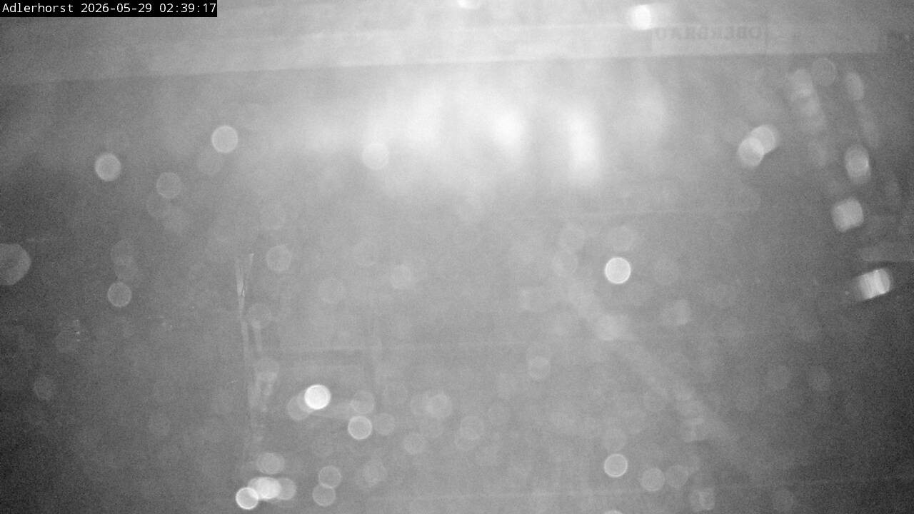 Archiv Foto Webcam Willingen: Skisprungschanze Adlerhorst
