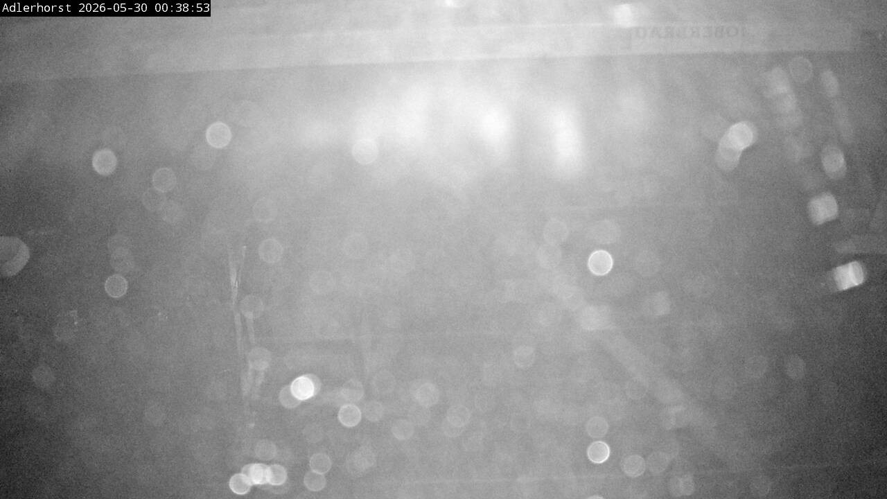 Archived image Webcam Willingen: View Ski Jumping Area
