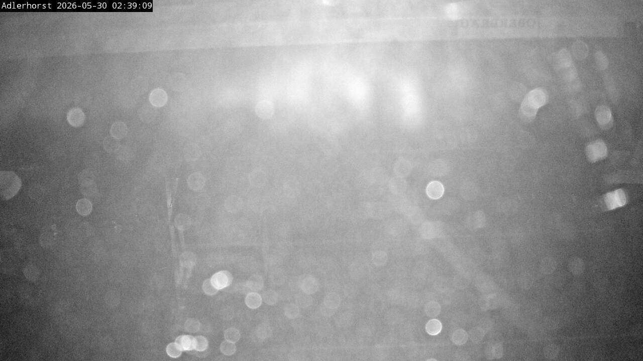 Archived image Webcam Willingen: View Ski Jumping Area
