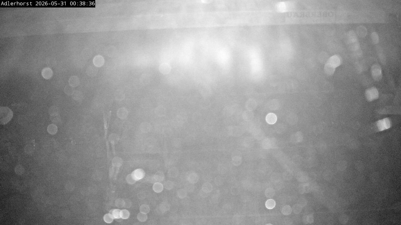 Archived image Webcam Willingen: View Ski Jumping Area