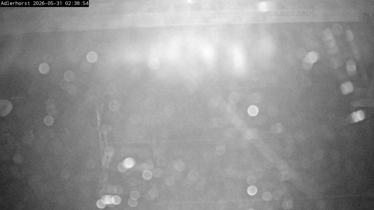 Archived image Webcam Willingen: View Ski Jumping Area