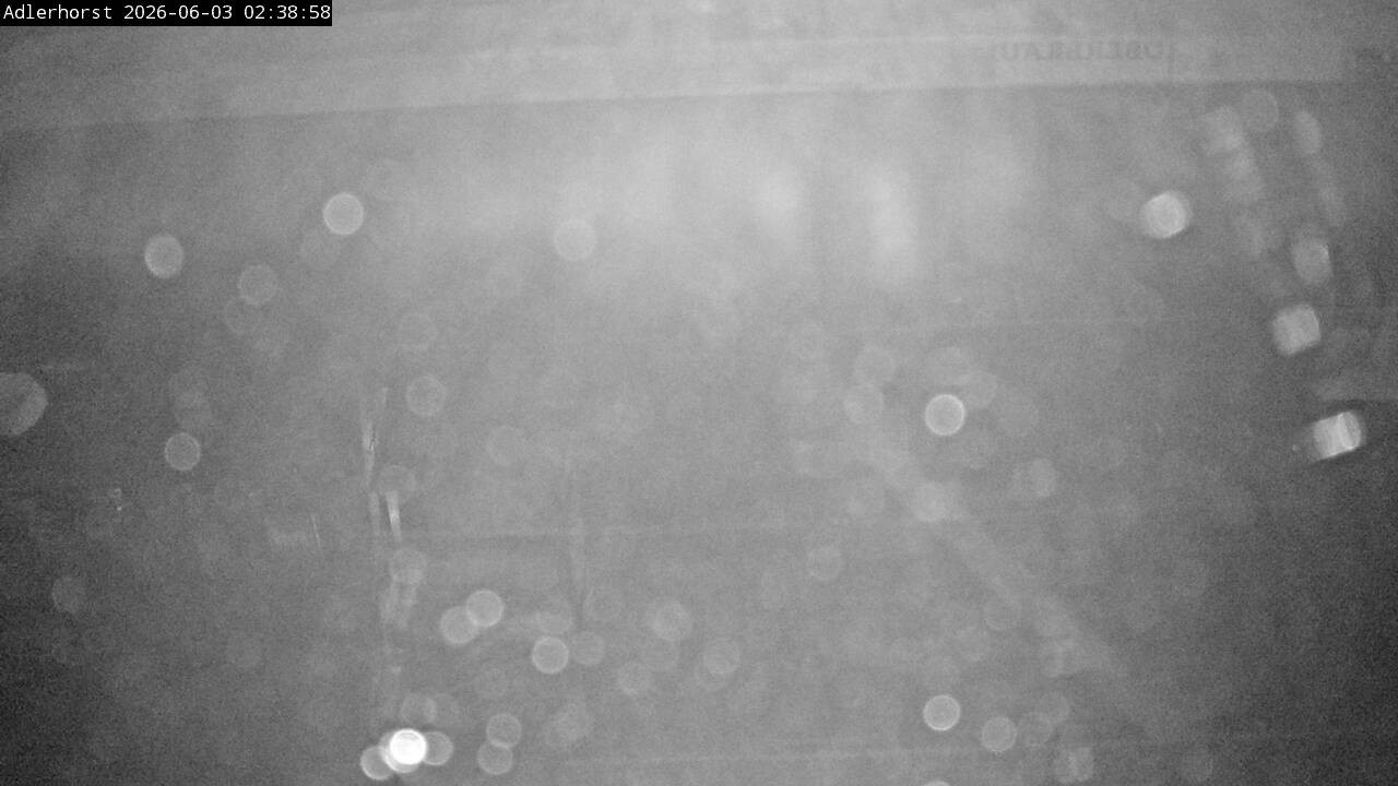 Archiv Foto Webcam Willingen: Skisprungschanze Adlerhorst