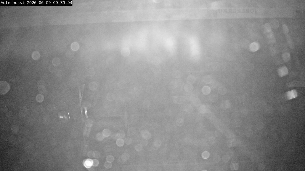 Archiv Foto Webcam Willingen: Skisprungschanze Adlerhorst