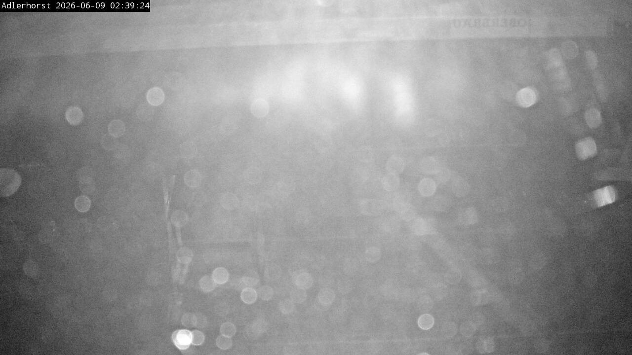 Archiv Foto Webcam Willingen: Skisprungschanze Adlerhorst