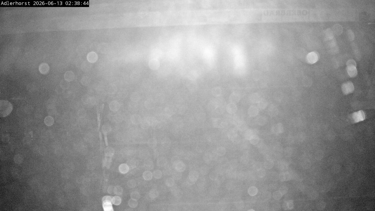 Archiv Foto Webcam Willingen: Skisprungschanze Adlerhorst
