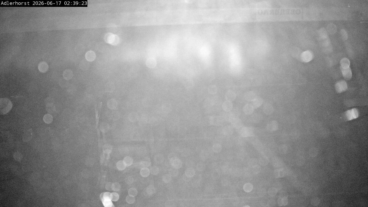Archiv Foto Webcam Willingen: Skisprungschanze Adlerhorst