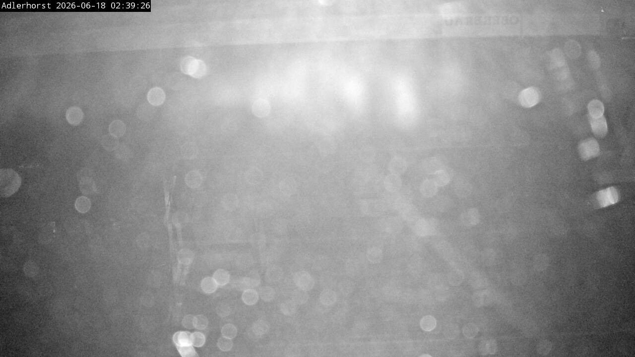Archiv Foto Webcam Willingen: Skisprungschanze Adlerhorst