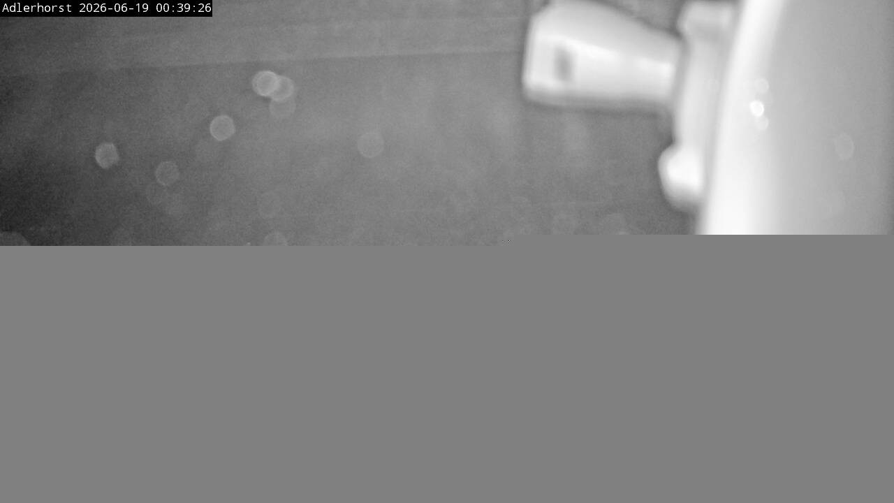 Archiv Foto Webcam Willingen: Skisprungschanze Adlerhorst