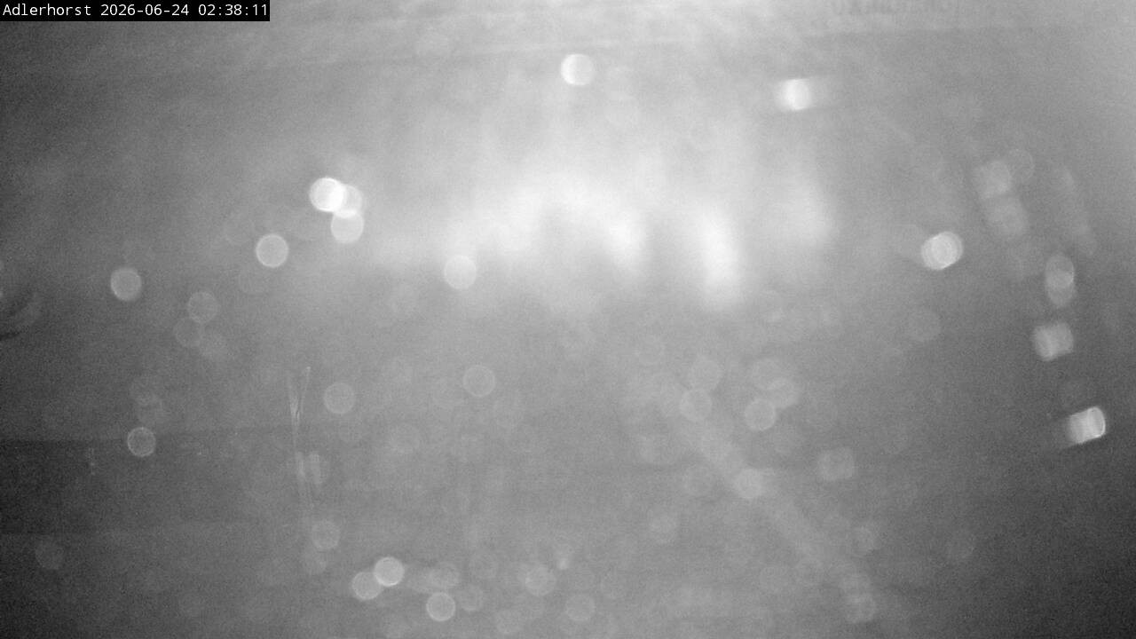 Archiv Foto Webcam Willingen: Skisprungschanze Adlerhorst