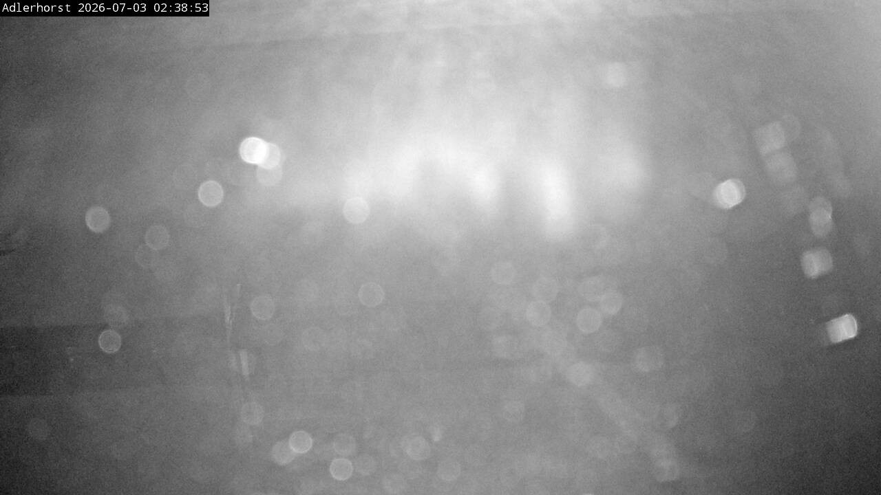 Archiv Foto Webcam Willingen: Skisprungschanze Adlerhorst