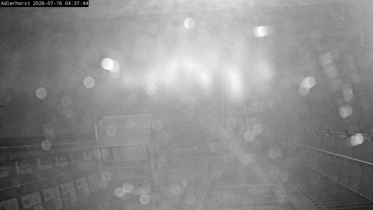 Archiv Foto Webcam Willingen: Skisprungschanze Adlerhorst