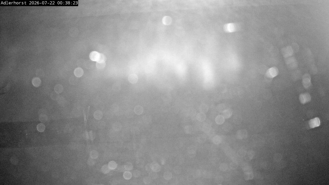 Archiv Foto Webcam Willingen: Skisprungschanze Adlerhorst