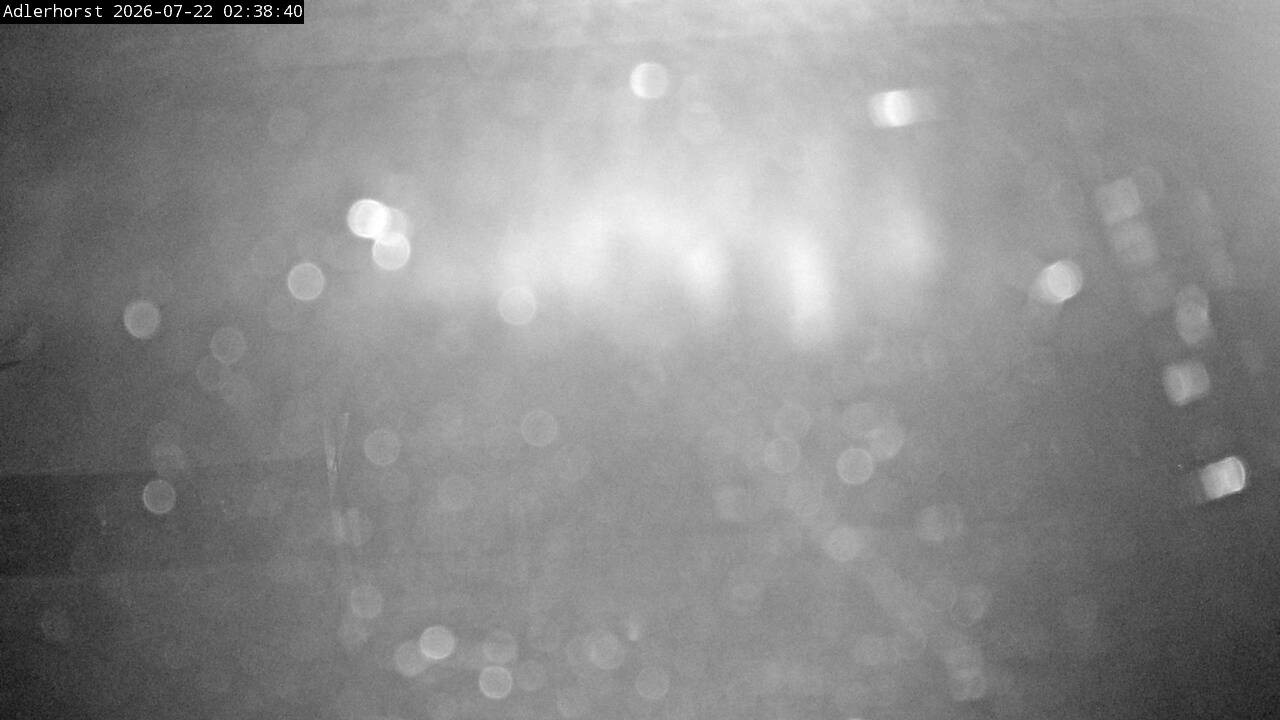 Archiv Foto Webcam Willingen: Skisprungschanze Adlerhorst