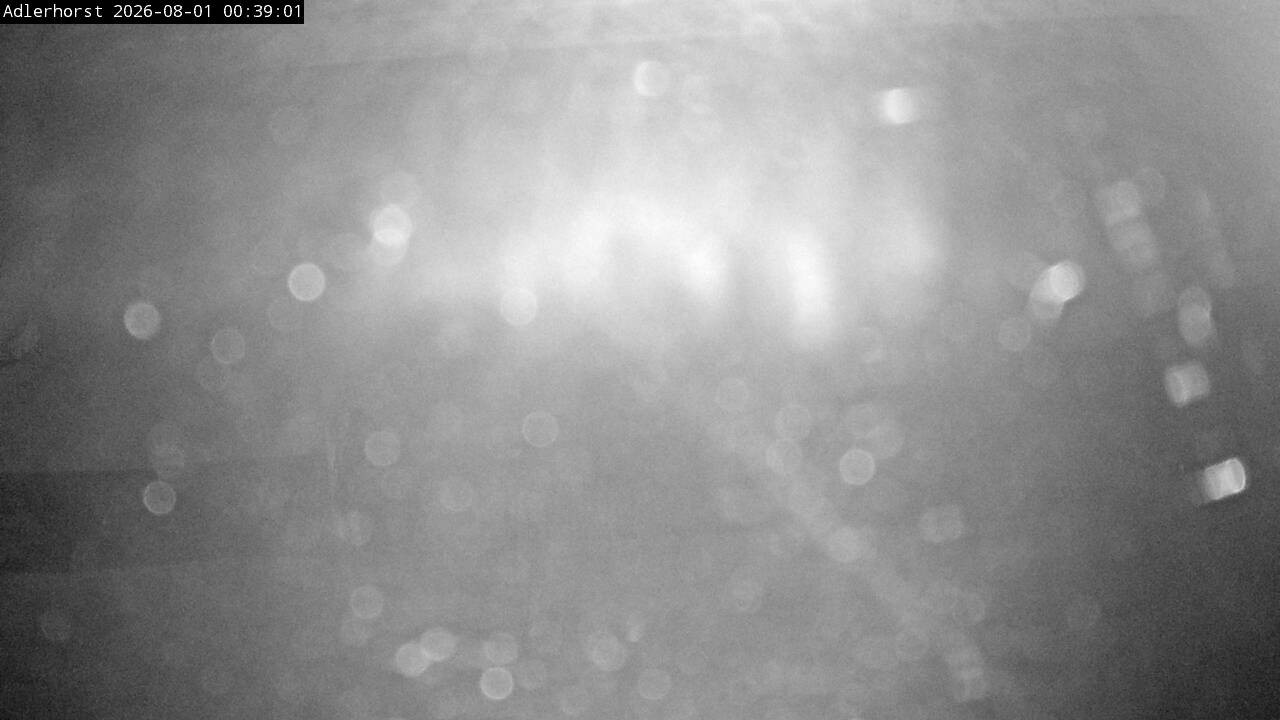Archiv Foto Webcam Willingen: Skisprungschanze Adlerhorst
