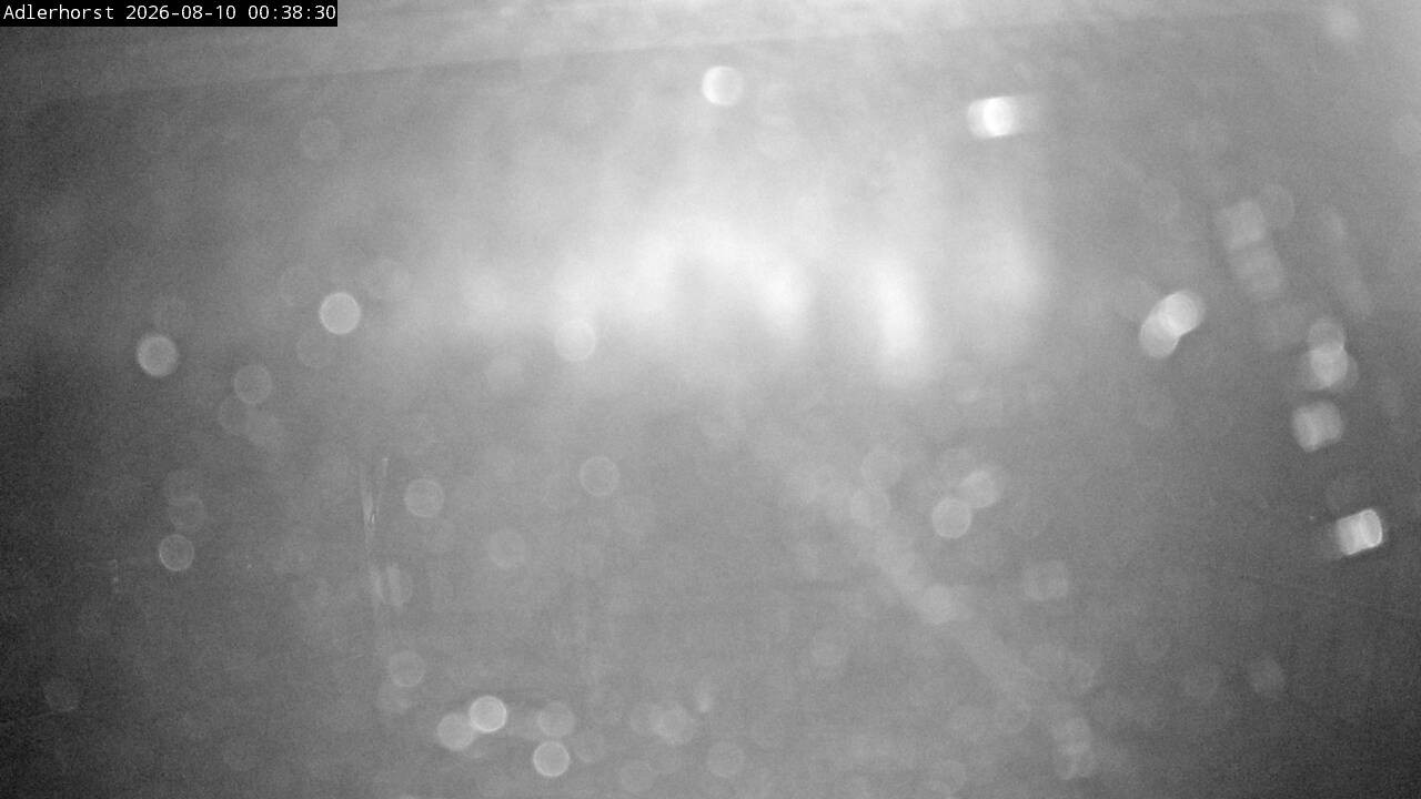 Archiv Foto Webcam Willingen: Skisprungschanze Adlerhorst