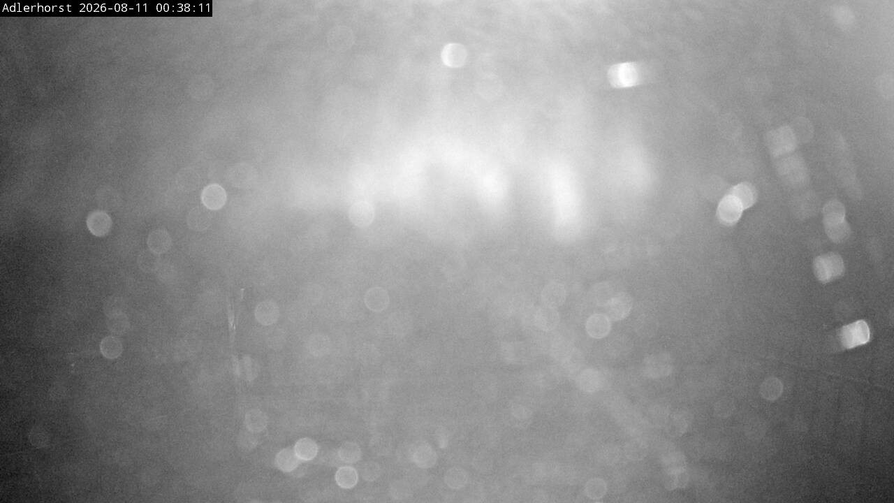 Archiv Foto Webcam Willingen: Skisprungschanze Adlerhorst