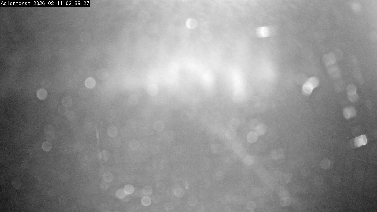 Archiv Foto Webcam Willingen: Skisprungschanze Adlerhorst
