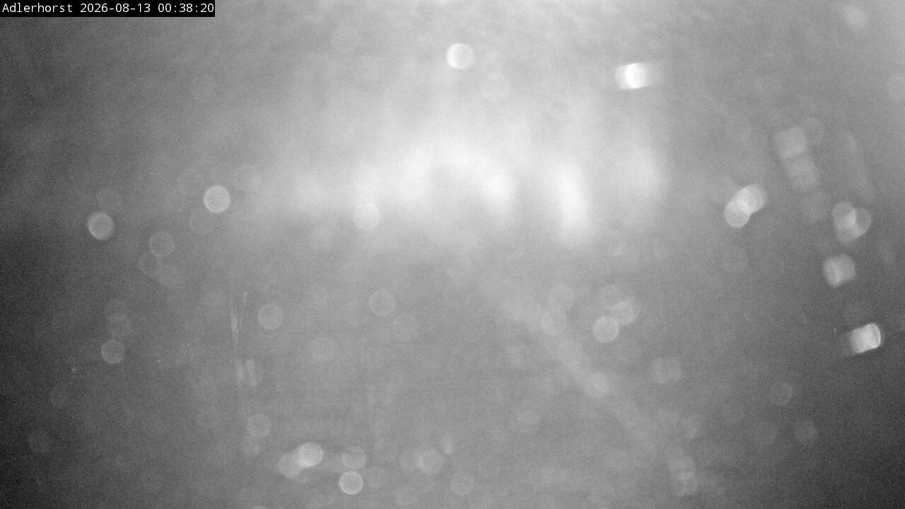 Archiv Foto Webcam Willingen: Skisprungschanze Adlerhorst