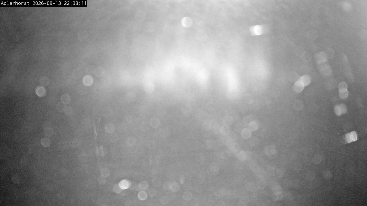 Archiv Foto Webcam Willingen: Skisprungschanze Adlerhorst