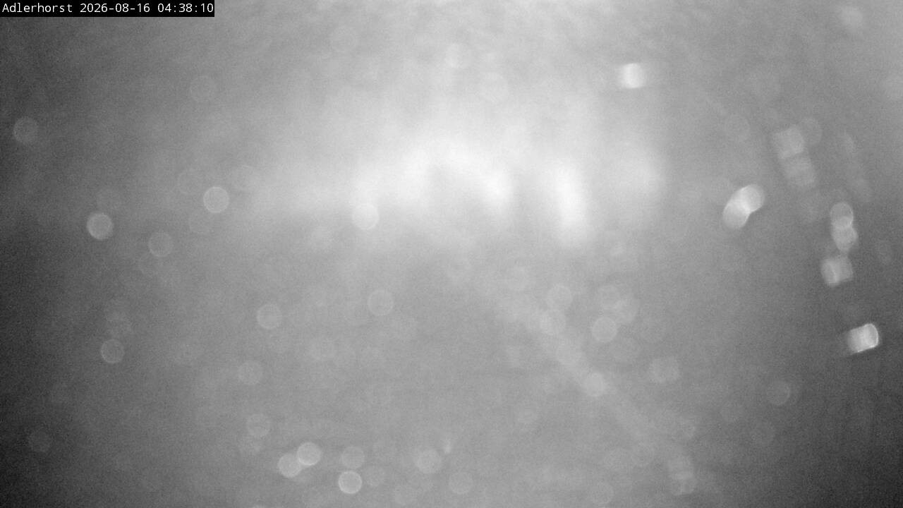 Archiv Foto Webcam Willingen: Skisprungschanze Adlerhorst