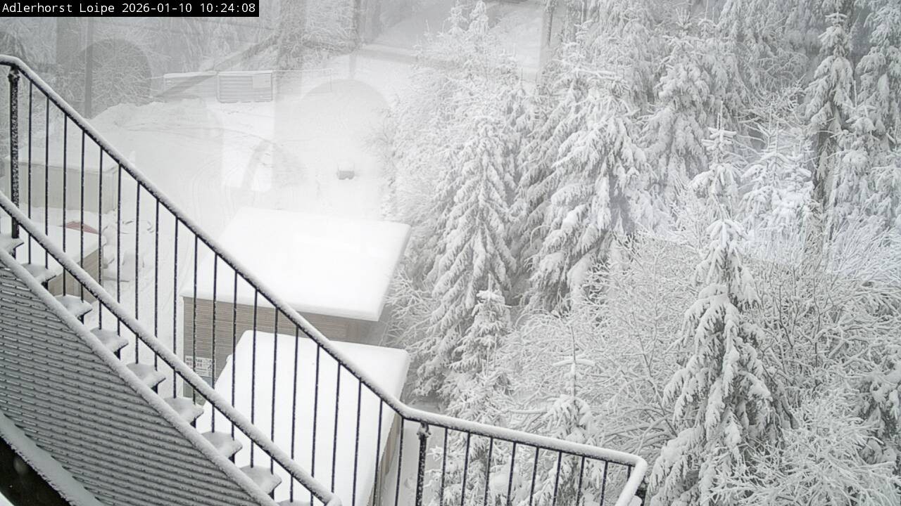 Archived image Webcam Willingen: Trail at Ski Jumping Area