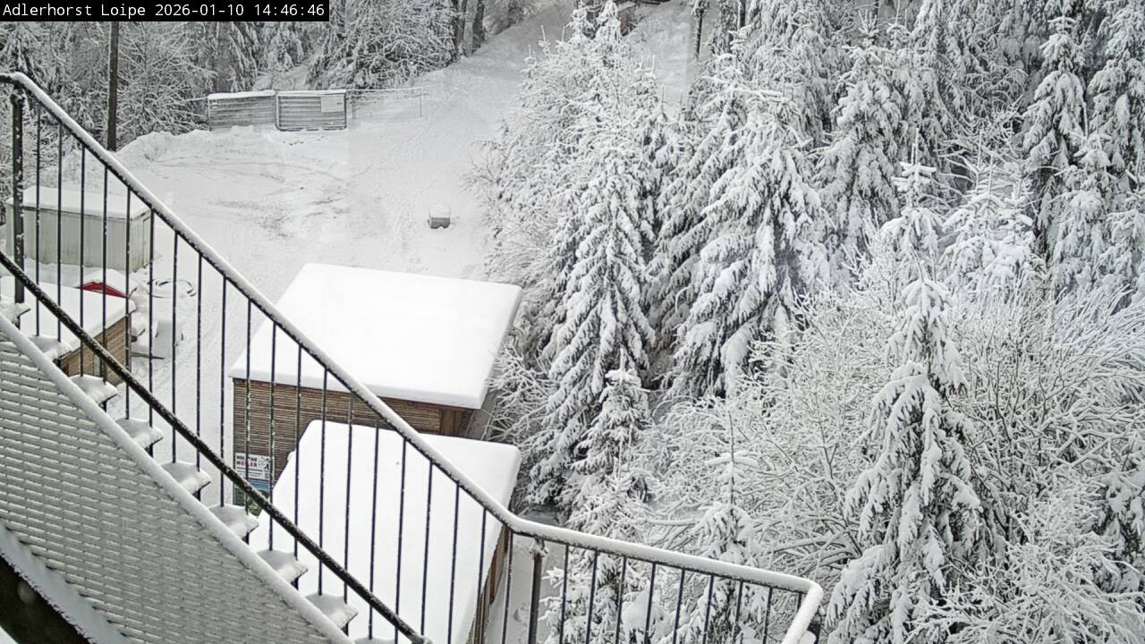 Archived image Webcam Willingen: Trail at Ski Jumping Area