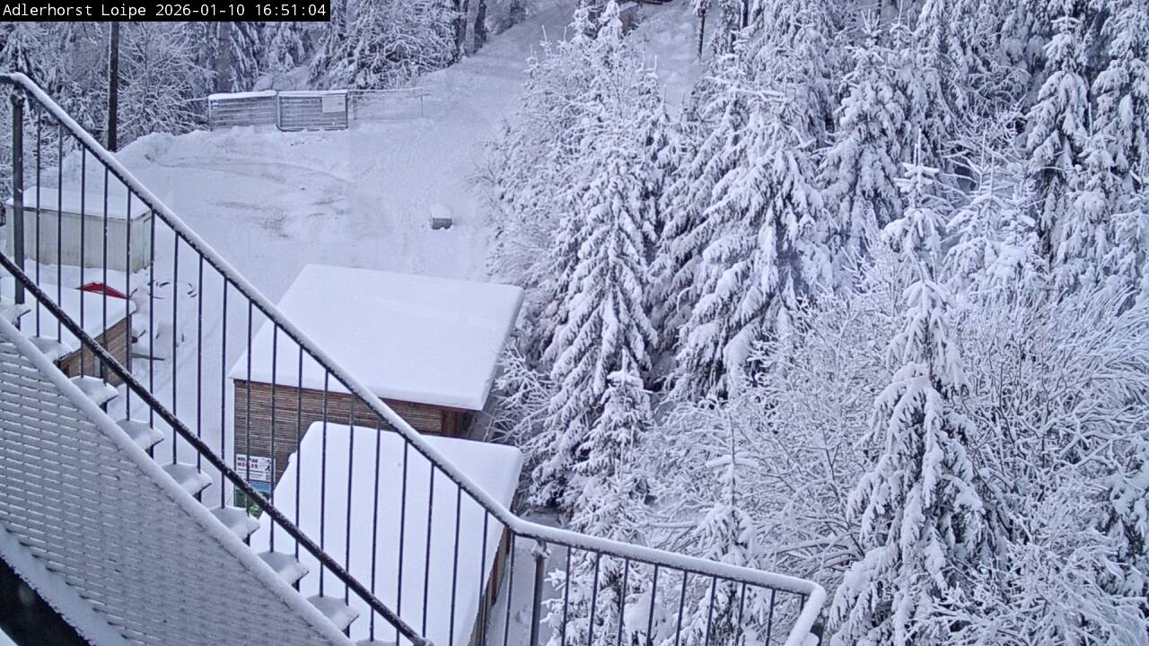 Archived image Webcam Willingen: Trail at Ski Jumping Area