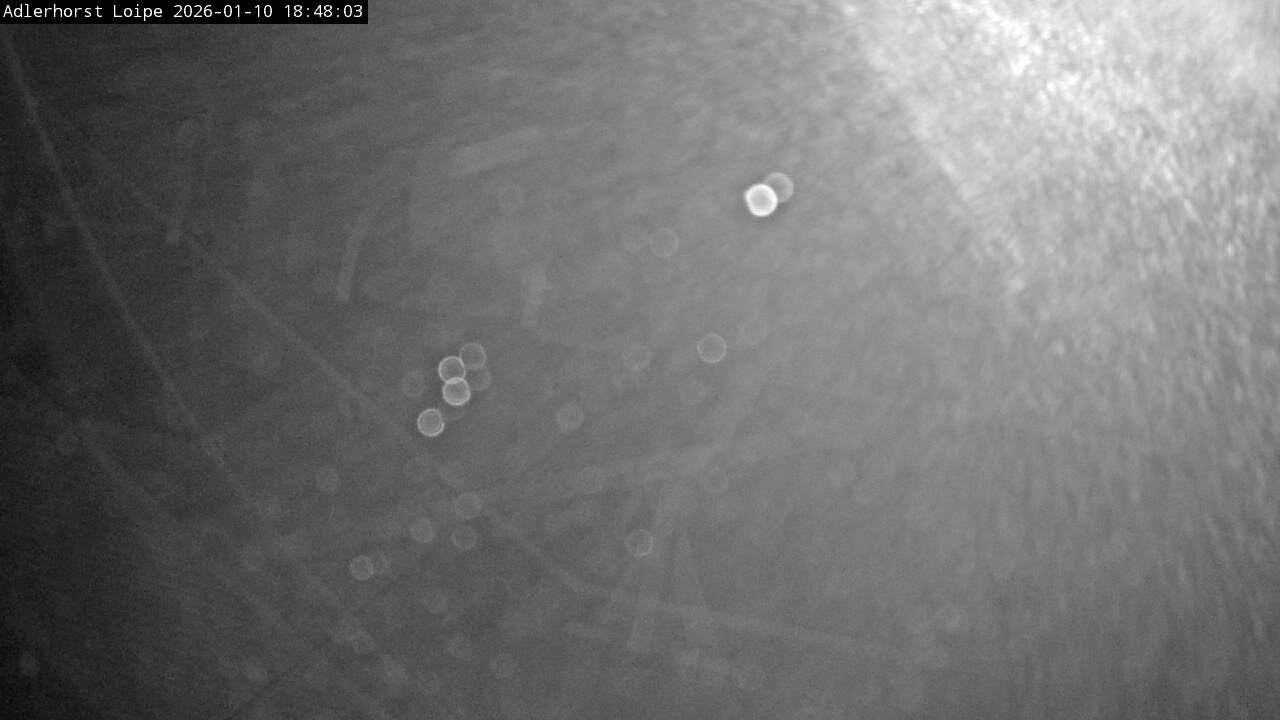 Archived image Webcam Willingen: Trail at Ski Jumping Area