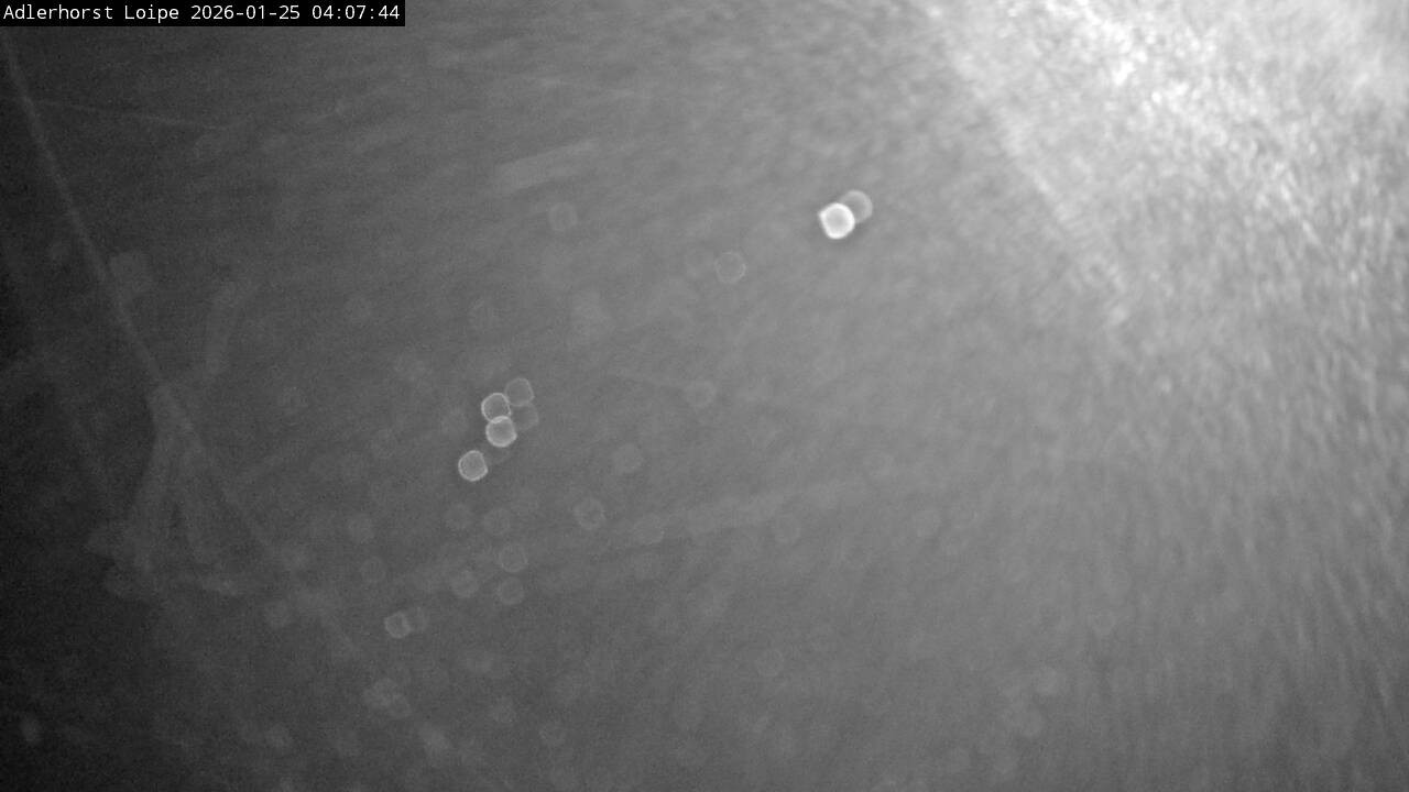 Archived image Webcam Willingen: Trail at Ski Jumping Area