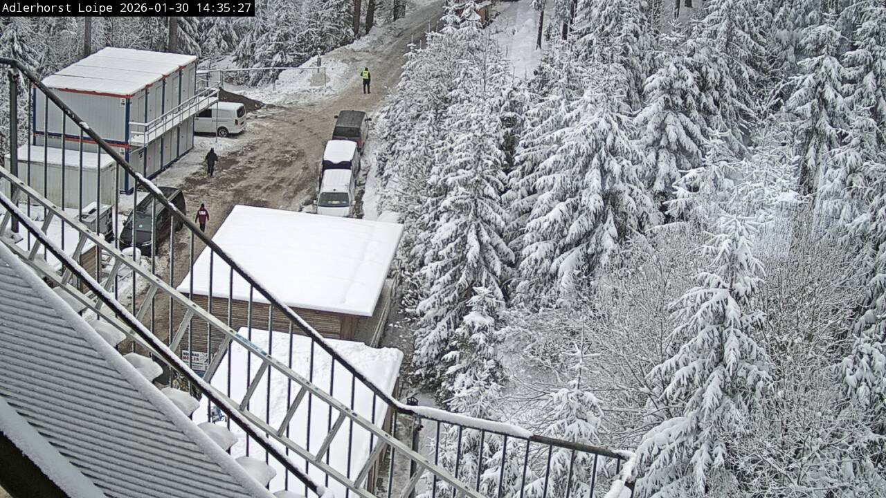 Archiv Foto Webcam Willingen: Adlerhorst Loipe