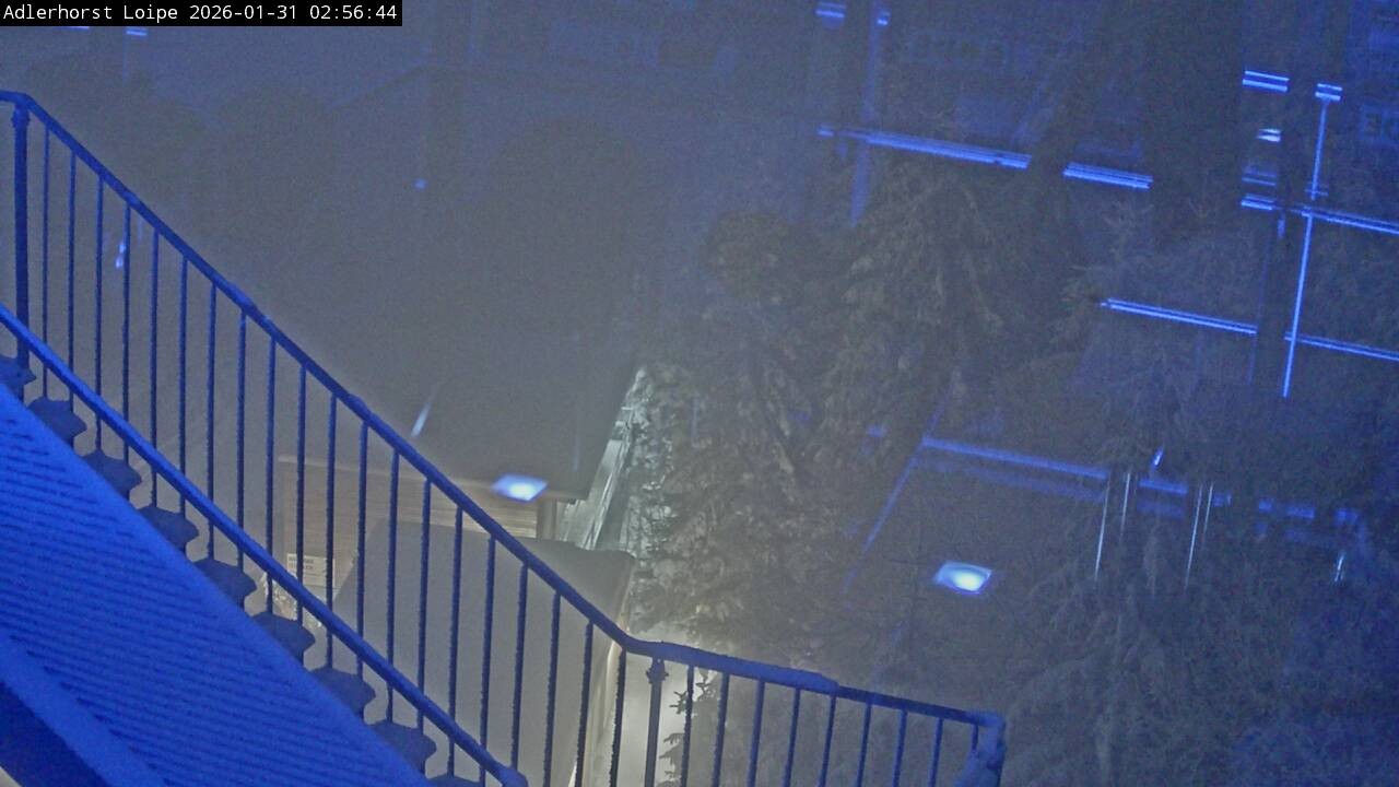 Archiv Foto Webcam Willingen: Adlerhorst Loipe