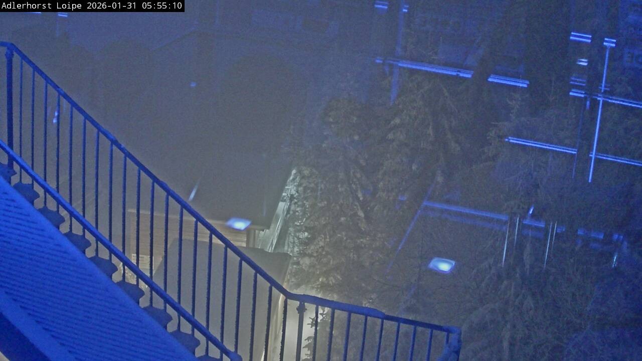 Archiv Foto Webcam Willingen: Adlerhorst Loipe